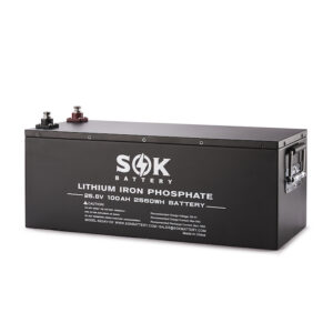 SOK 24V 100Ah LiFePO4 Battery