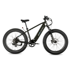 Lectric XPeak2