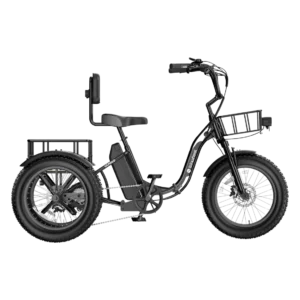 Isinwheel Ucargo Electric Tricycle