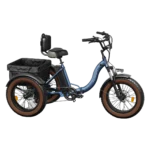 Puckipuppy Alaskan Electric Trike