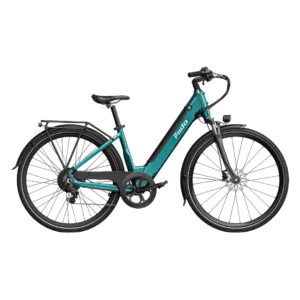 Fiido C11 City Electric Bike