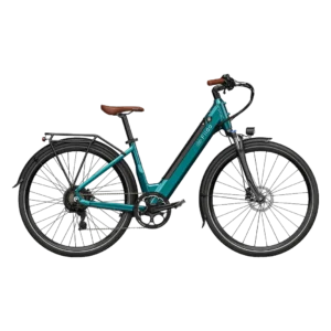 Fiido C11 Pro City Electric Bike