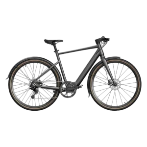 Fiido C21 Gravel and City Electric Bike