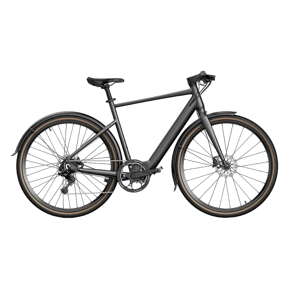 Fiido C21 Gravel and City Electric Bike