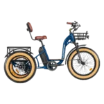 Addmotor Grandtan M-340 Fat Tire Electric Trike