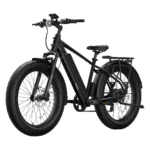 NIU BQi Fat Tire 300 Step-Over Electric Bike