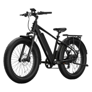 NIU BQi Fat Tire 300 Step-Over Electric Bike