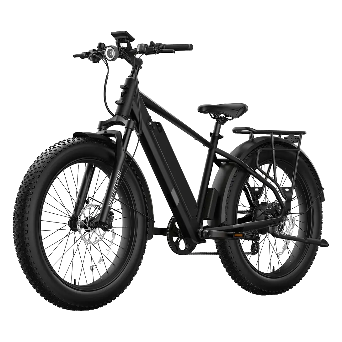 NIU BQi Fat Tire 300 Step-Over Electric Bike