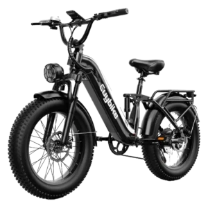 Euy C3 Full Suspension Fat Tire Electric Bike