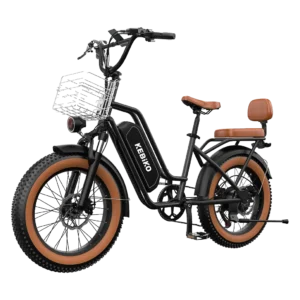 Euy F8 Step-Thru Fat Tire Electric Bike