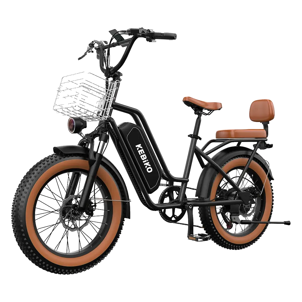 Euy F8 Step-Thru Fat Tire Electric Bike