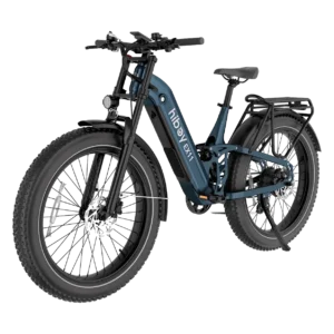 Hiboy EX11