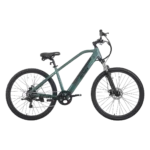 Gotrax Monte 29 Electric Bike