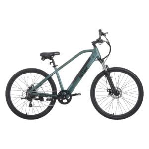 Gotrax Monte 29 Electric Bike