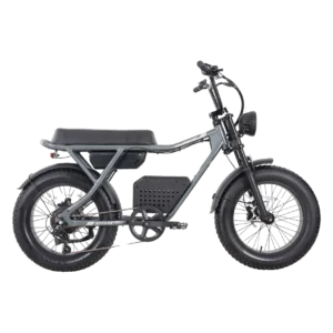 Gotrax Ranger Moped-Style Electric Bike