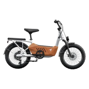 Himiway C3 Cargo Electric Bike