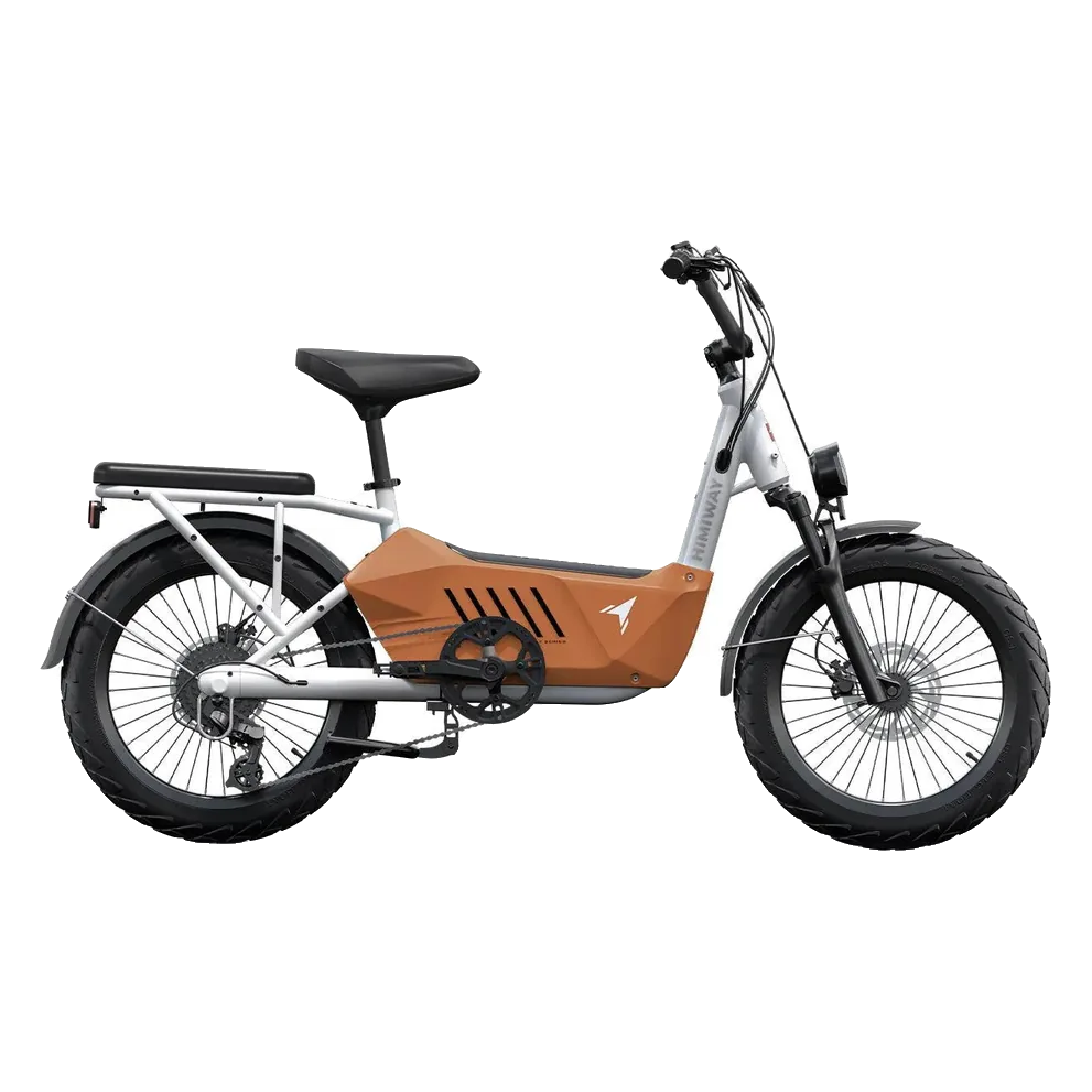 Himiway C3 Cargo Electric Bike