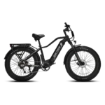 Biktrix Juggernaut Hub Duo 2 Step-Over Fat Tire Electric Bike