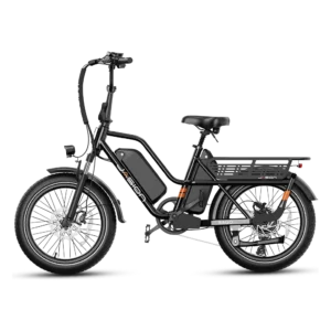 Jasion Kago Dual Battery Electric Cargo Bike