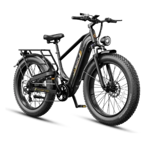 Jasion Thunder Pro Full-Suspension Fat Tire Electric Bike