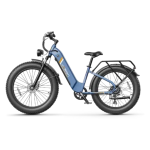 Jasion Thunder Fat Tire Electric Bike