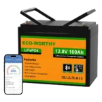 ECO-WORTHY 12V 100Ah Bluetooth LiFePO4 Battery