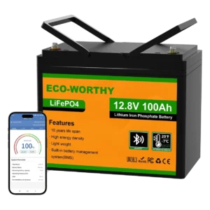 ECO-WORTHY 12V 100Ah Bluetooth LiFePO4 Battery