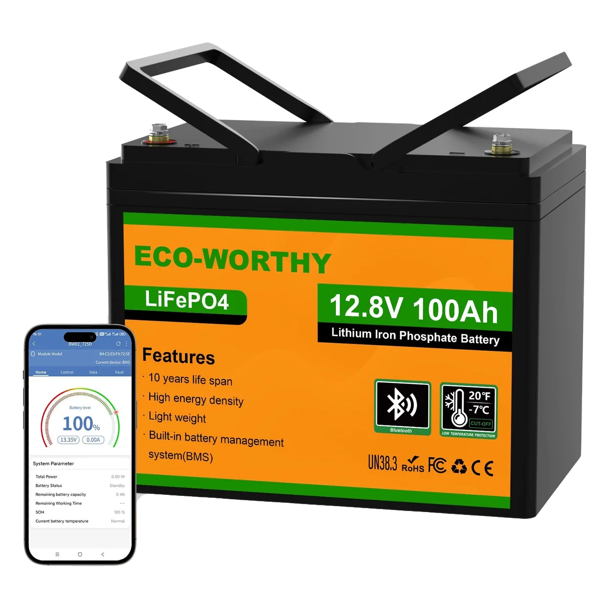 ECO-WORTHY 12V 100Ah Bluetooth LiFePO4 Battery