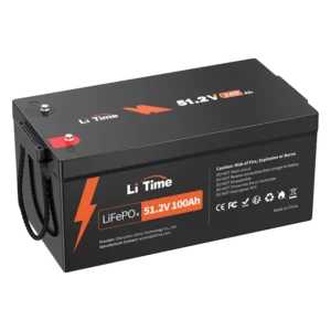 LiTime 48V 100Ah 8D LiFePO4 Battery