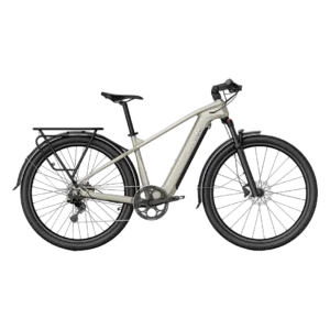 Fiido Nomads Touring Electric Bike