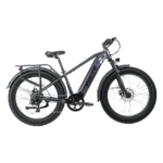 Velowave Ranger 3.0 Electric Bike