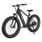 Hiboy P6 Fat Tire Electric Bike
