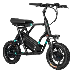 Fiido Q2 Dual Motor Seated Electric Scooter