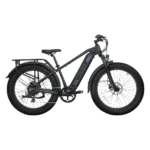 Velowave Ranger 2.0 Electric Bike