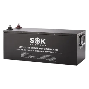 SOK 24V 100Ah LiFePO4 Battery