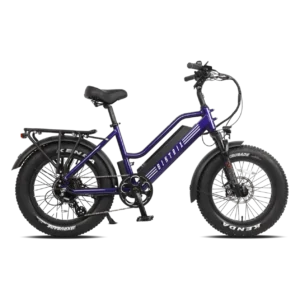 Biktrix Stunner LT 8 Fat Tire Cruiser Electric Bike