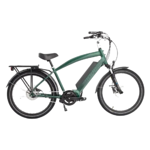 Biktrix Stunner Step-Over Auto Cruiser Electric Bike