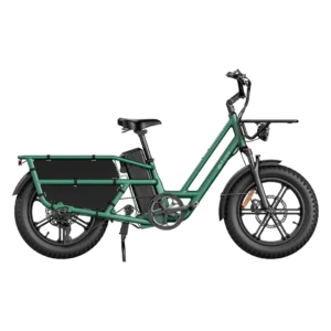 Fiido T2 Longtail Cargo Electric Bike