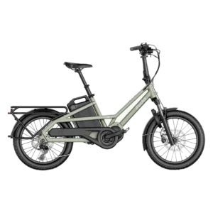 Fiido T3 Compact Family Cargo Electric Bike