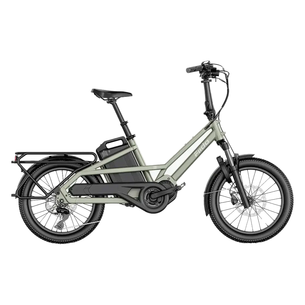 Fiido T3 Compact Family Cargo Electric Bike
