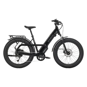 Trek Borrego+ Fat Tire Electric Bike