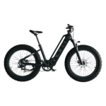 Cyrusher Aura Electric Bike