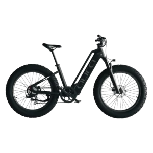 Cyrusher Aura Step-Through Fat Tire Electric Bike