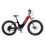 Cyrusher Roam Electric Bike