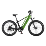 Cyrusher Zenith Electric Bike