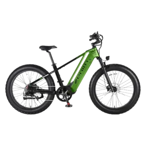 Cyrusher Zenith Electric Bike