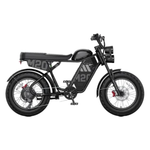 Engwe M20 3.0 Moped-Style Electric Bike